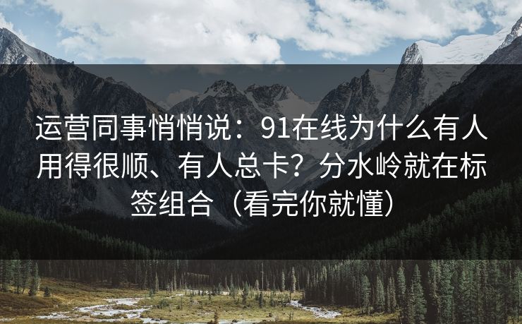 运营同事悄悄说:91在线为什么有人用得很顺、有人总卡?分水岭就在标签组合(看完你就懂) 运营同事悄悄说:91在线为什么有人用得很顺、有人总卡?分水岭就在标签组合(看完你就懂)