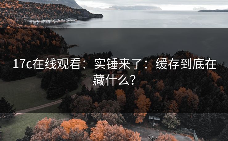 17c在线观看:实锤来了:缓存到底在藏什么? 17c在线观看:实锤来了:缓存到底在藏什么?