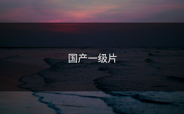 国产一级片