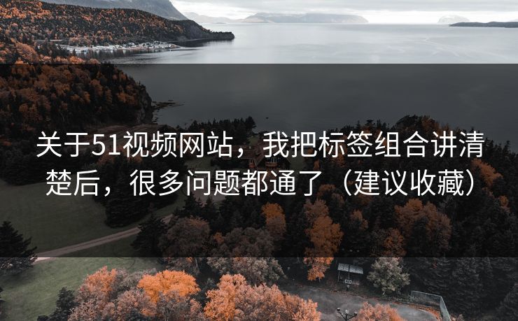 关于51视频网站,我把标签组合讲清楚后,很多问题都通了(建议收藏) 关于51视频网站,我把标签组合讲清楚后,很多问题都通了(建议收藏)